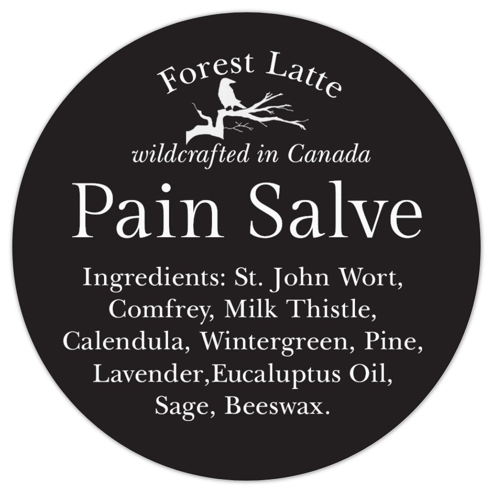 PAIN SALVE-wildcrafted, natural , 120 ml jar