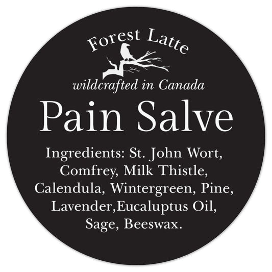 PAIN SALVE-wildcrafted, natural , 120 ml jar